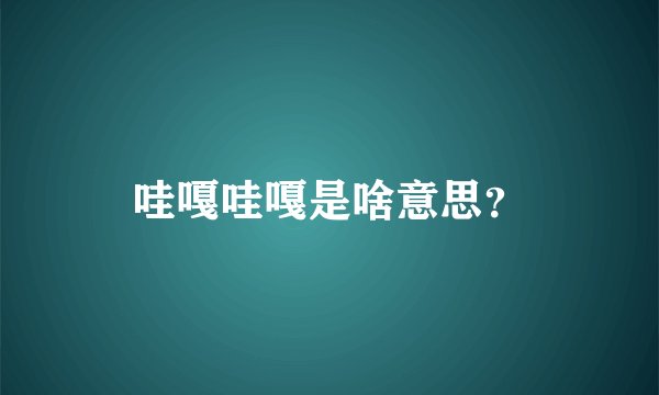 哇嘎哇嘎是啥意思？