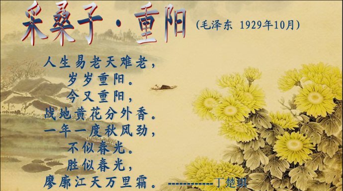 采桑子·重阳原文的鉴赏