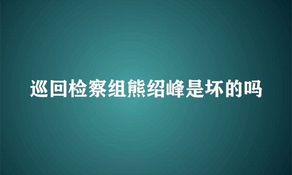 巡回检察组熊绍峰是坏的吗