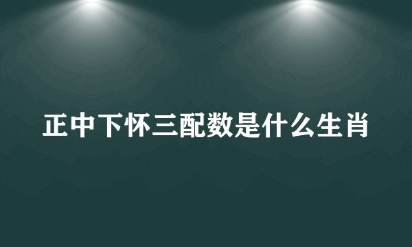 正中下怀三配数是什么生肖