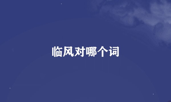 临风对哪个词