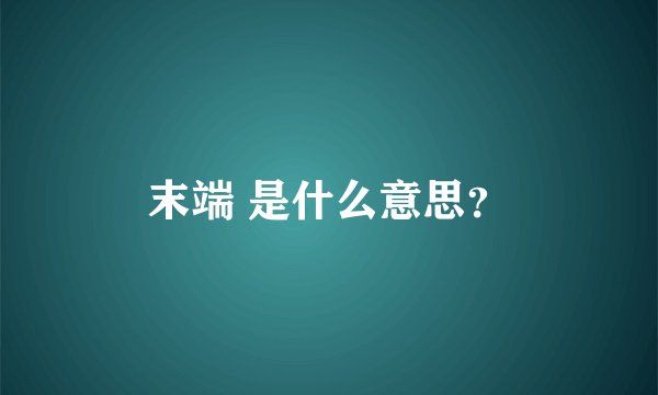末端 是什么意思？