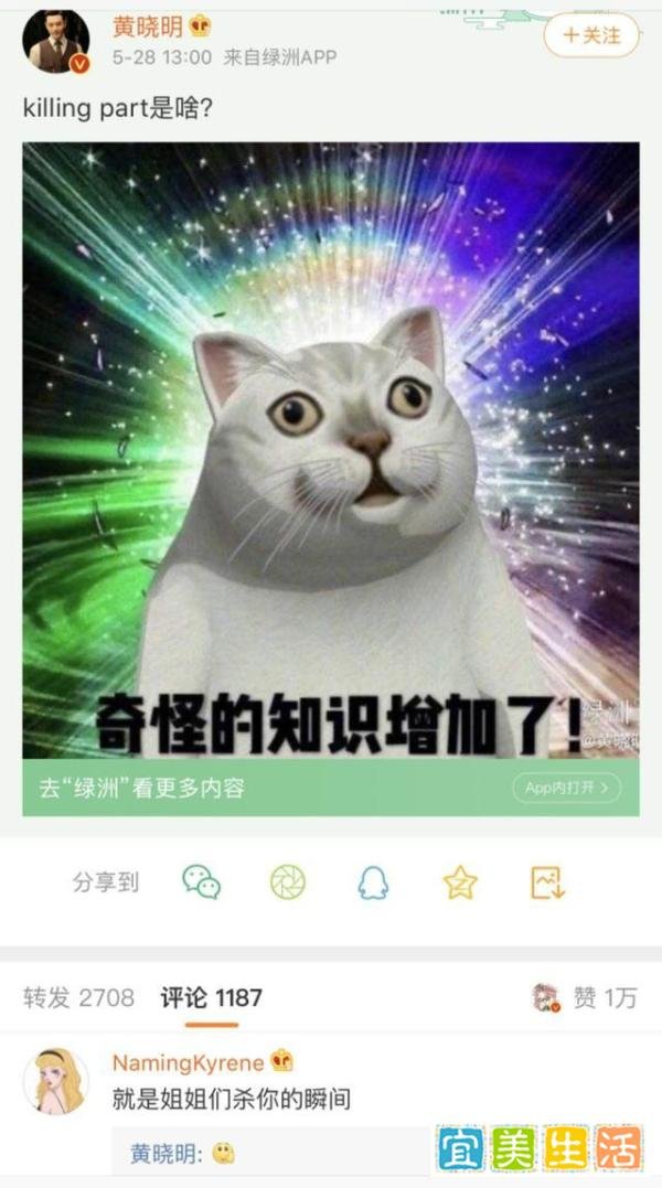 黄晓明不懂，在线求问的英文“Killing Part”是什么，你懂吗？