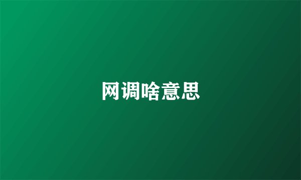 网调啥意思