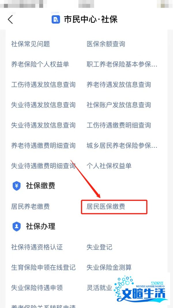 城乡居民医保缴费怎么网上缴费的