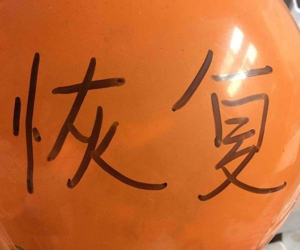 恢复是什么意思