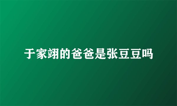 于家翊的爸爸是张豆豆吗