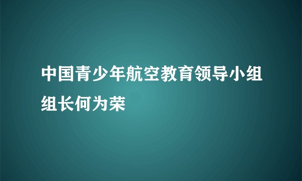 中国青少年航空教育领导小组组长何为荣