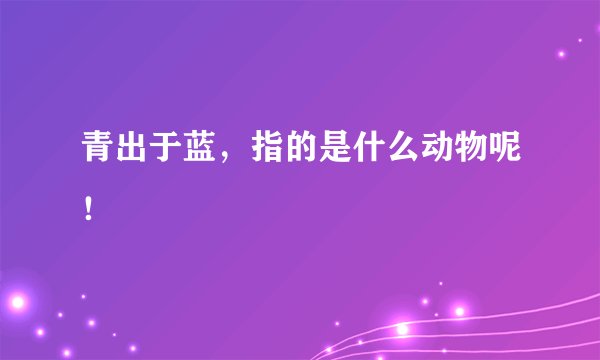 青出于蓝，指的是什么动物呢！