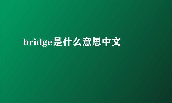 bridge是什么意思中文