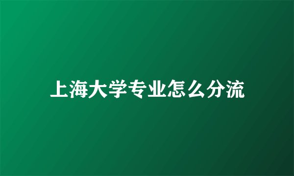 上海大学专业怎么分流