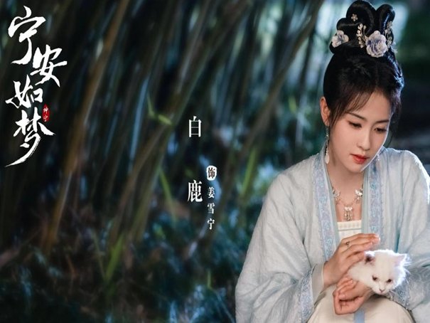 宁安如梦大结局怎么样