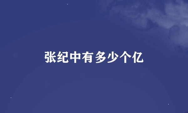 张纪中有多少个亿