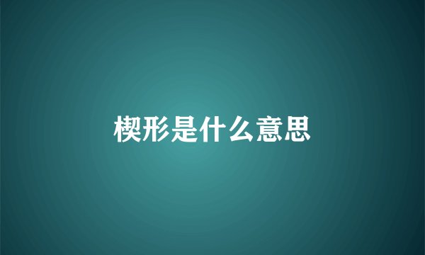 楔形是什么意思