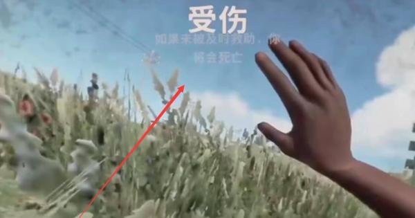 rust游戏怎么玩