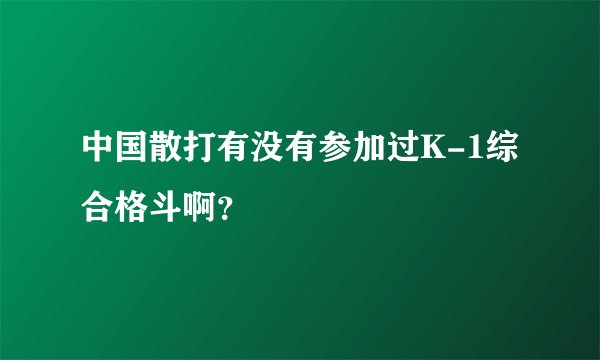 中国散打有没有参加过K-1综合格斗啊？