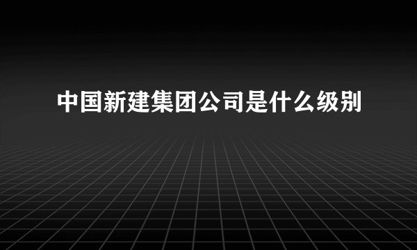 中国新建集团公司是什么级别