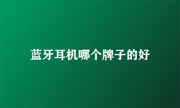 蓝牙耳机哪个牌子的好