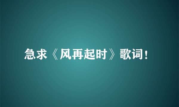 急求《风再起时》歌词！