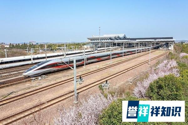 中国经济信心说丨19个职业上新！数字经济新赛道千帆竞发