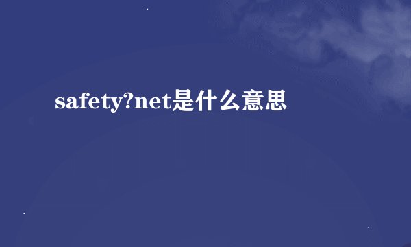 safety?net是什么意思