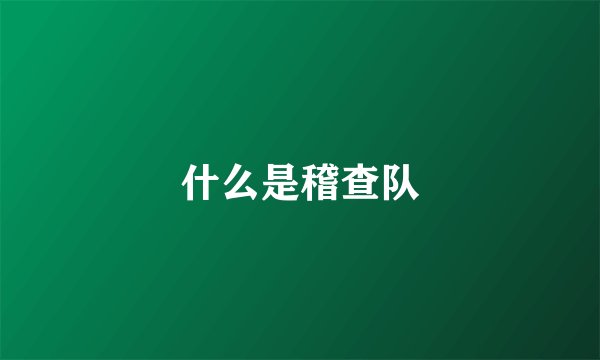 什么是稽查队