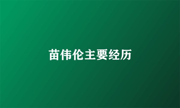 苗伟伦主要经历