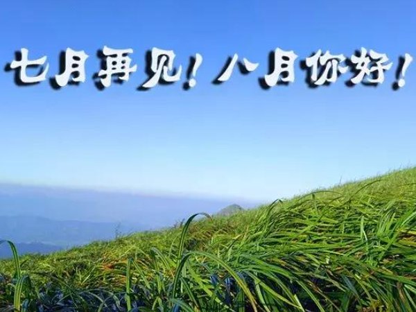 8月的感慨句子
