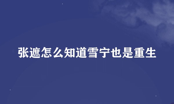 张遮怎么知道雪宁也是重生