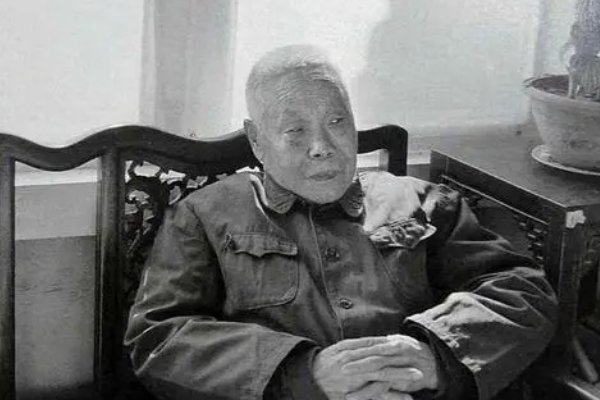 清末太监孙耀廷自述：夜里伺候贵妃需藏苍耳，到底有何用？