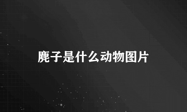 麂子是什么动物图片