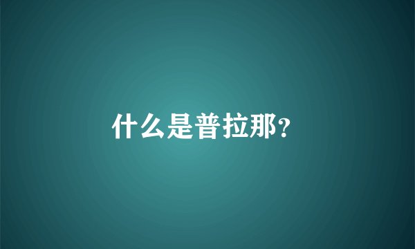 什么是普拉那?