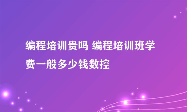 编程培训贵吗 编程培训班学费一般多少钱数控