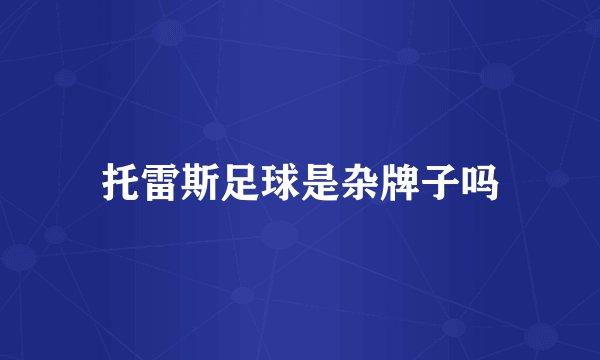 托雷斯足球是杂牌子吗
