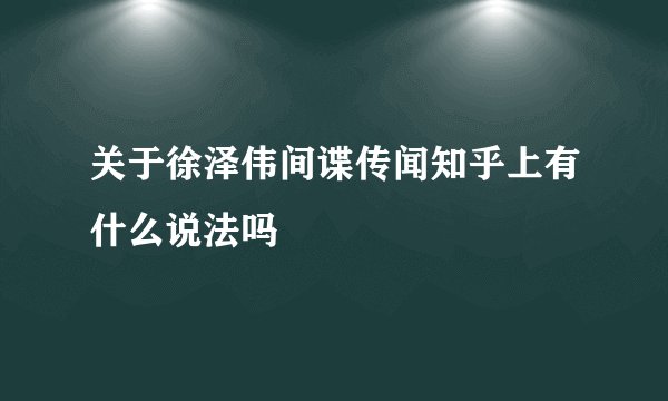 关于徐泽伟间谍传闻知乎上有什么说法吗
