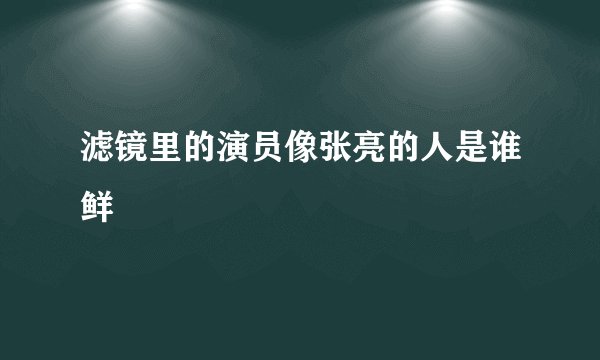 滤镜里的演员像张亮的人是谁鲜