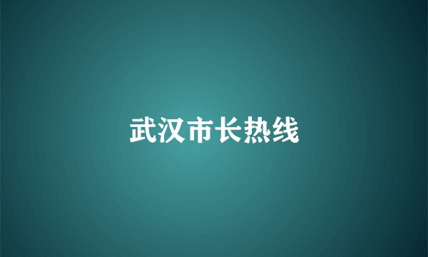 武汉市长热线
