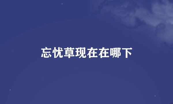忘忧草现在在哪下