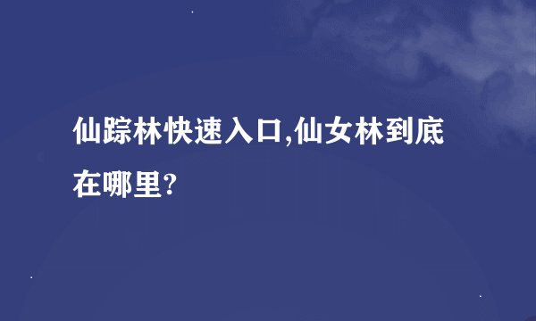 仙踪林快速入口,仙女林到底在哪里?