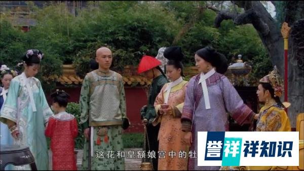 甄嬛传:不看历史,《甄嬛传》中青樱的结局很不好