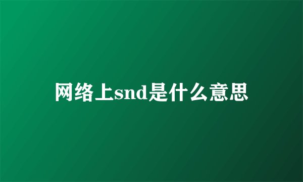 网络上snd是什么意思