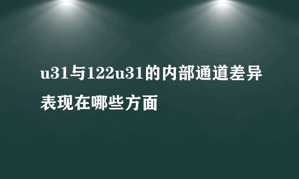 u31与122u31的内部通道差异表现在哪些方面