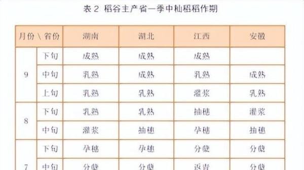 《参谋助手论》 | 通篇大实话的一本奇书(高情商+无厚黑)