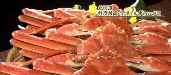 美国大选 | 蔡依林DT in the house预言成真？