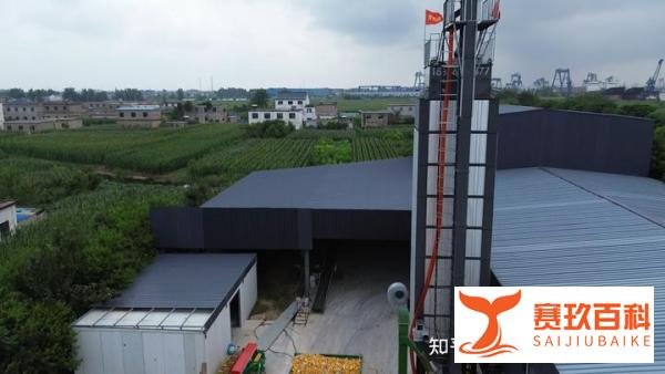 不同类型的粮食烘干机价格多少钱一台？