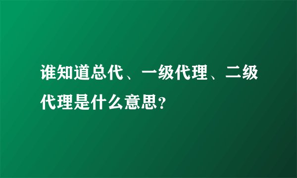 谁知道总代、一级代理、二级代理是什么意思？