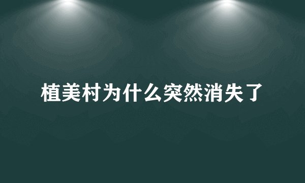 植美村为什么突然消失了