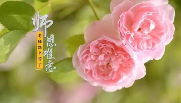 赞美老师的千古绝句
