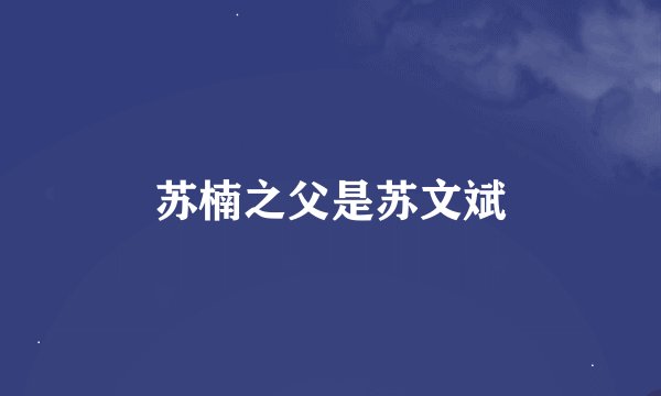 苏楠之父是苏文斌