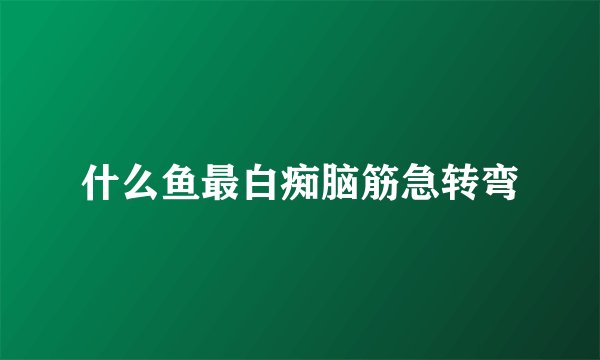 什么鱼最白痴脑筋急转弯